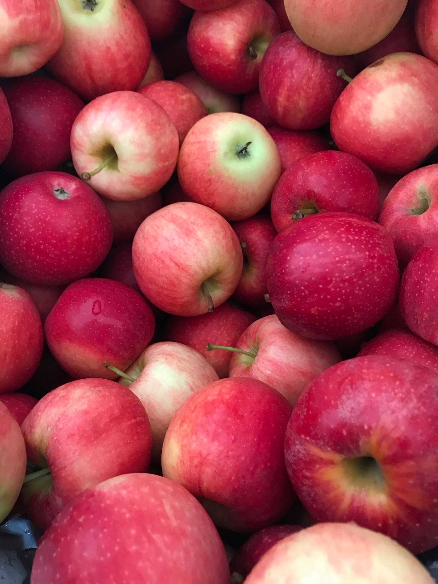 Apple Juice: A Staple in Global Beverage Cultures